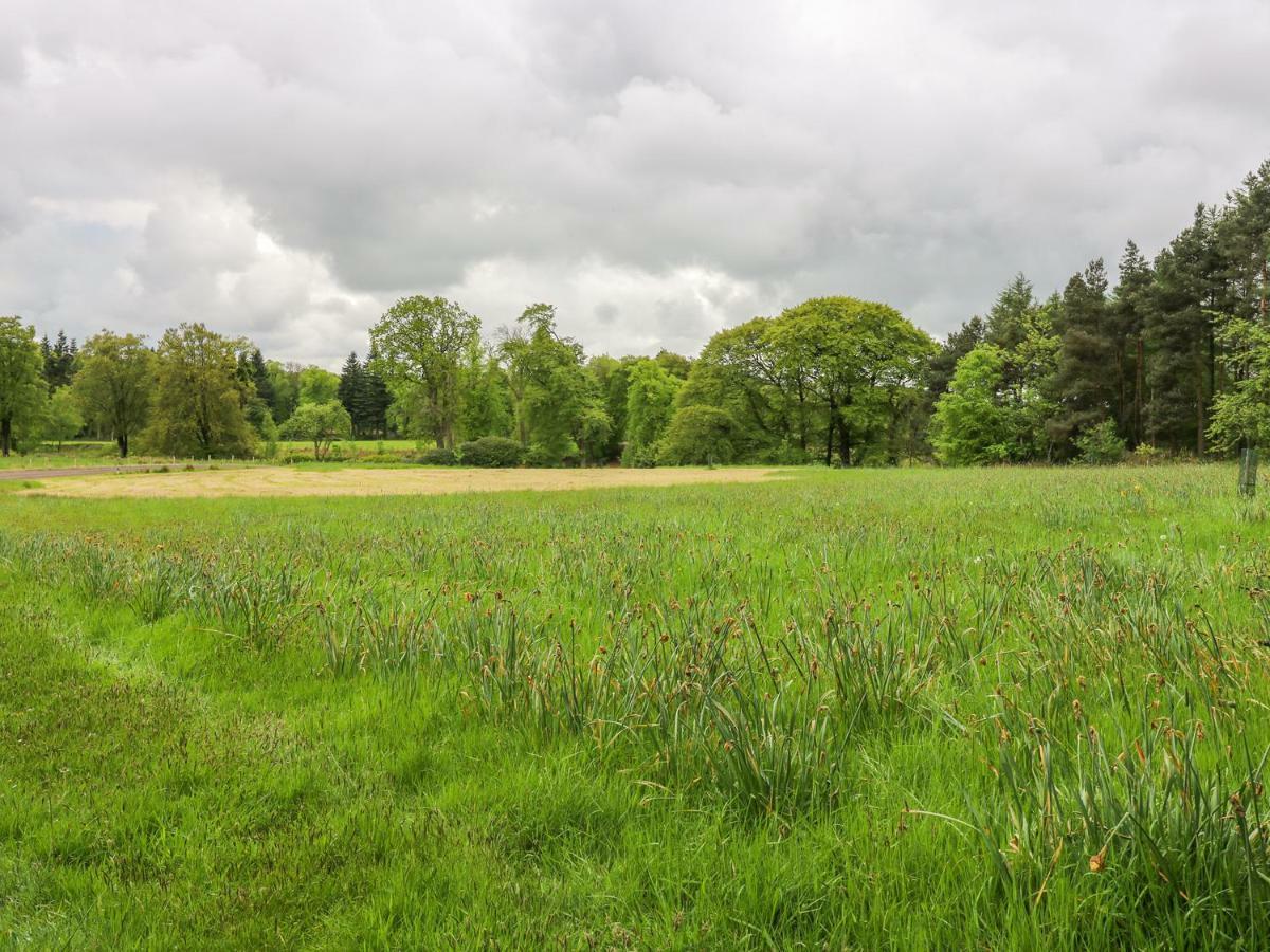 Gate Lodge West Calder ภายนอก รูปภาพ